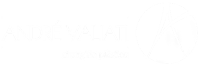 Dr. André Valiati - Cirurgia Plástica
